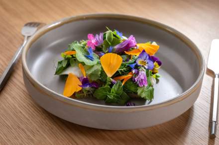 Restaurant Gastronomique Avignon et alentours · Ineffable Restaurant